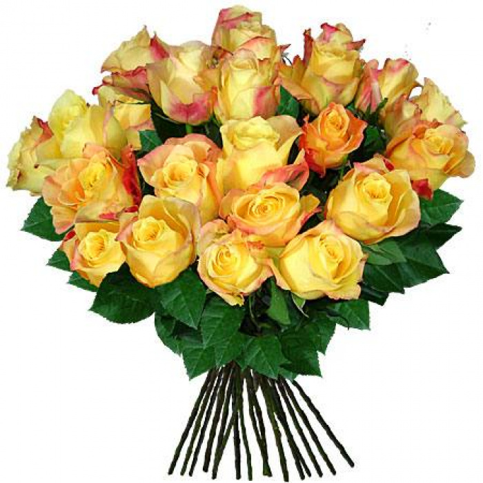 Buchet de trandafiri galbeni proaspeti – imaginea 1