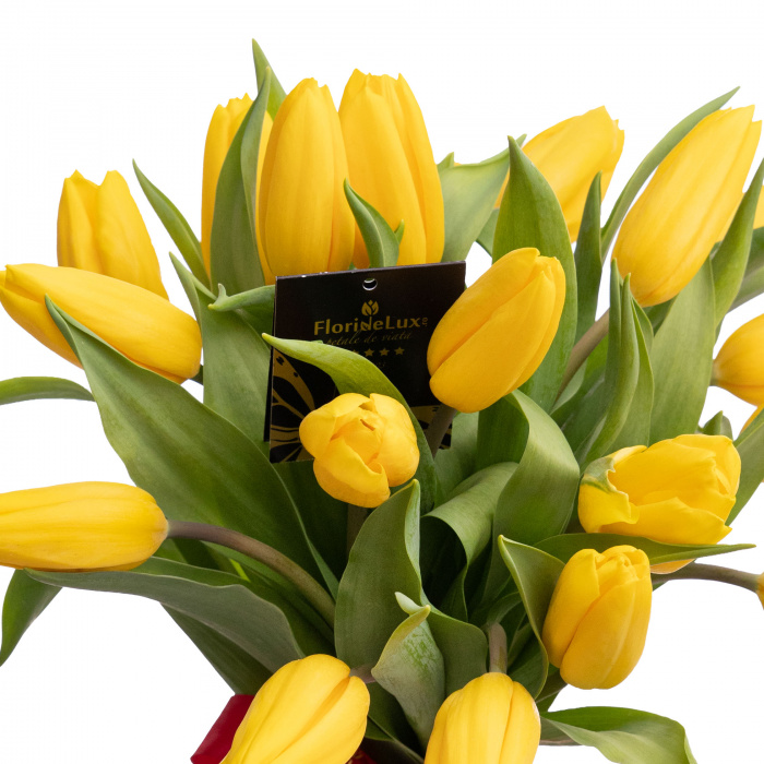 Buchet din lalele galbene frumoase – imaginea 2