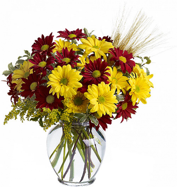 Buchet din crizanteme multicolore – imaginea 1