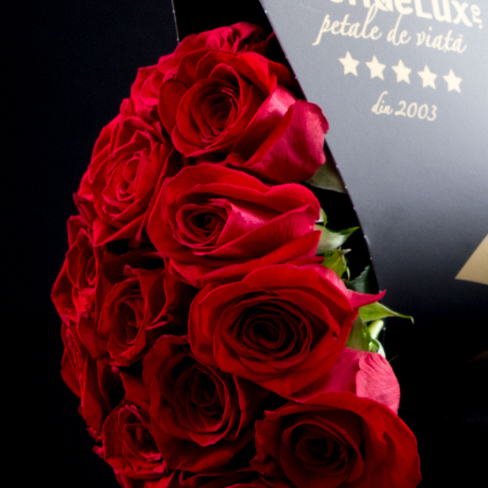 Trandafiri rosii Grand Gesture si sampanie Nectar Imperial Rose