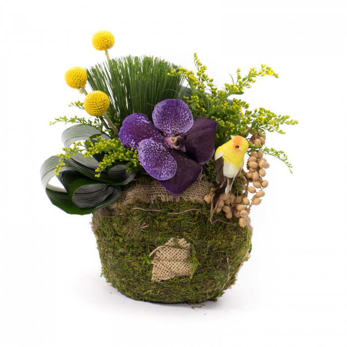 Cosulet My Little Garden – imaginea 1