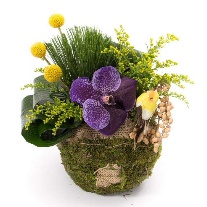 Cosulet My Little Garden – imaginea 2