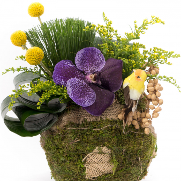 Cosulet My Little Garden – imaginea 3