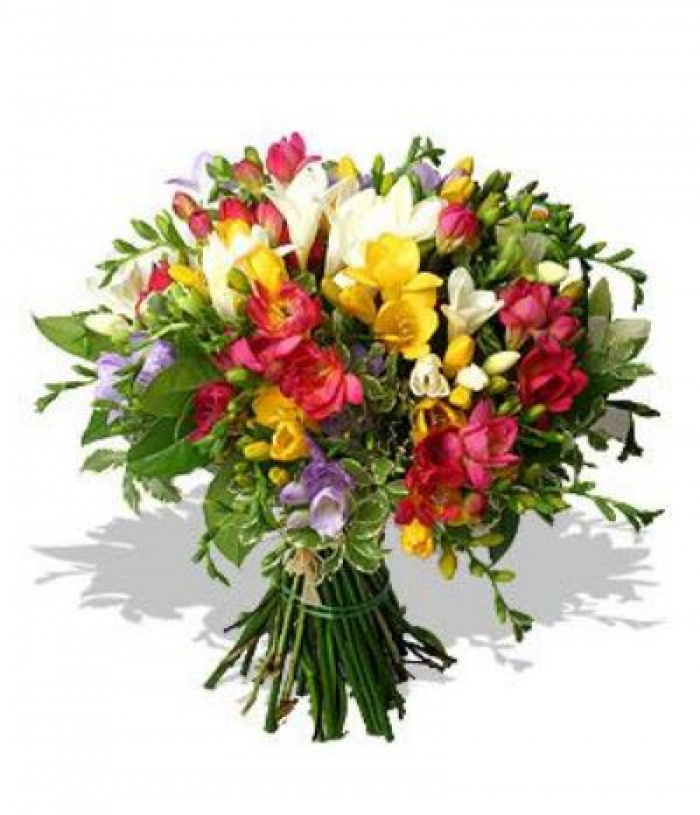Buchet din 49 frezii multicolore