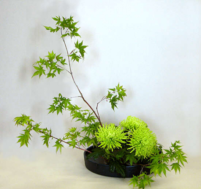 Ikebana crizanteme verzi – imaginea 1