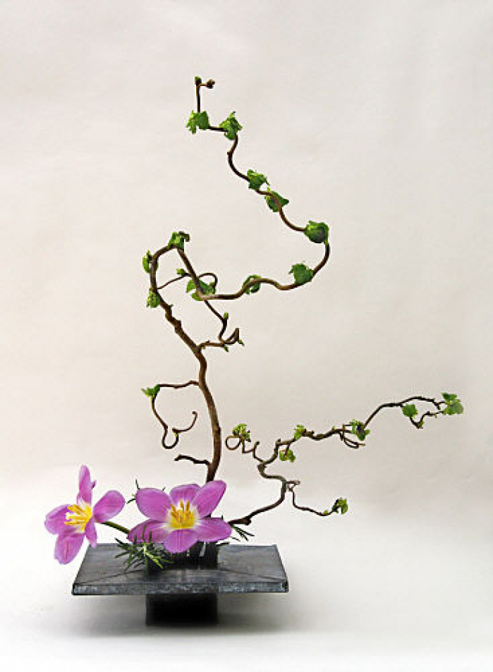 Ikebana lalele roz