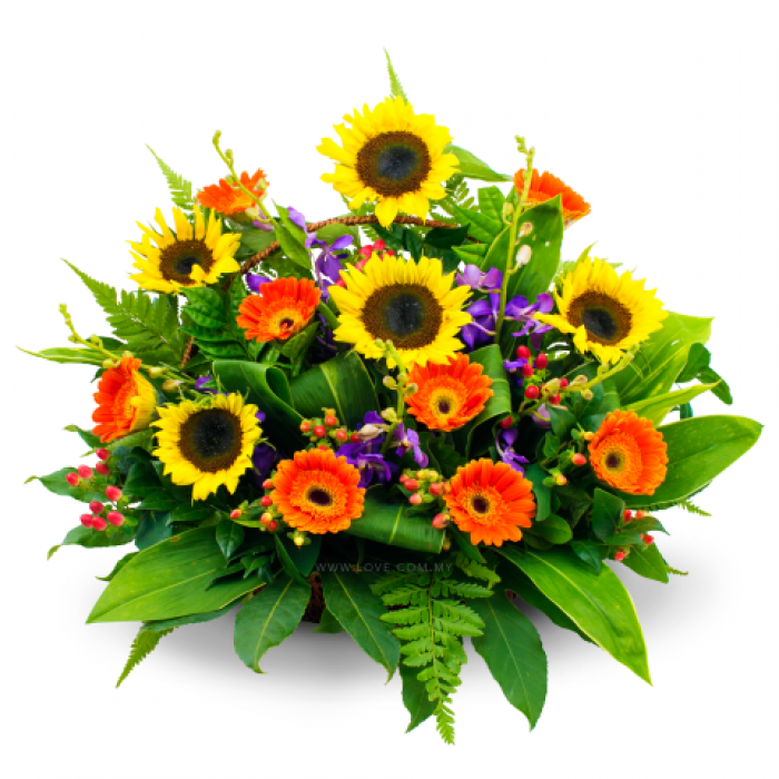 Cos cu floarea soarelui, dendrobium, gerbera – imaginea 1