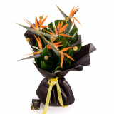 Buchet strelitzia, pasarea paradisului – Floridelux