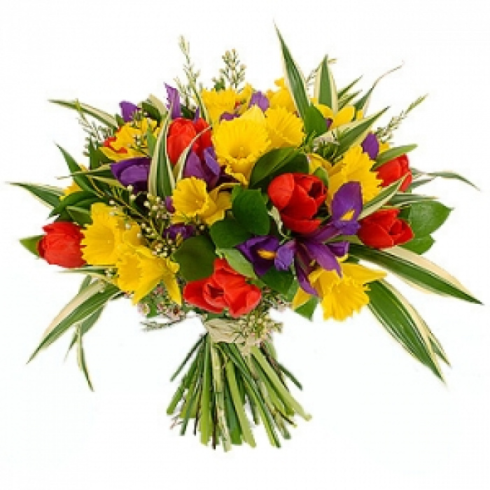 Buchet lalele, narcise si irisi