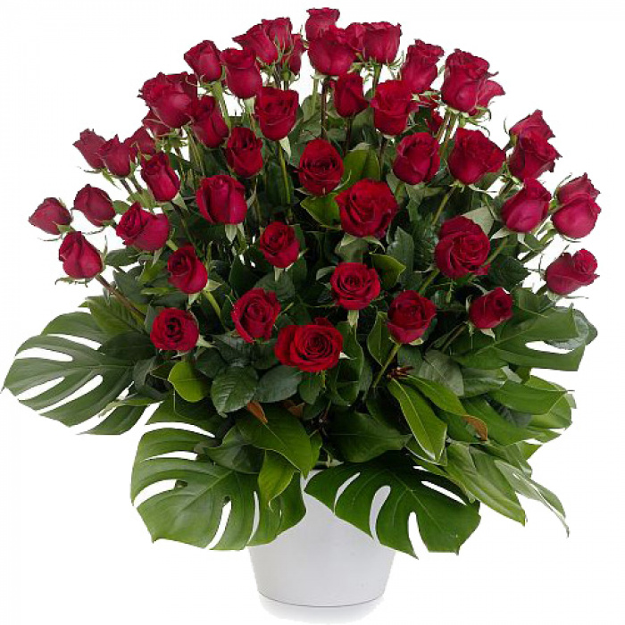 Buchet 85 trandafiri rosii – imaginea 1