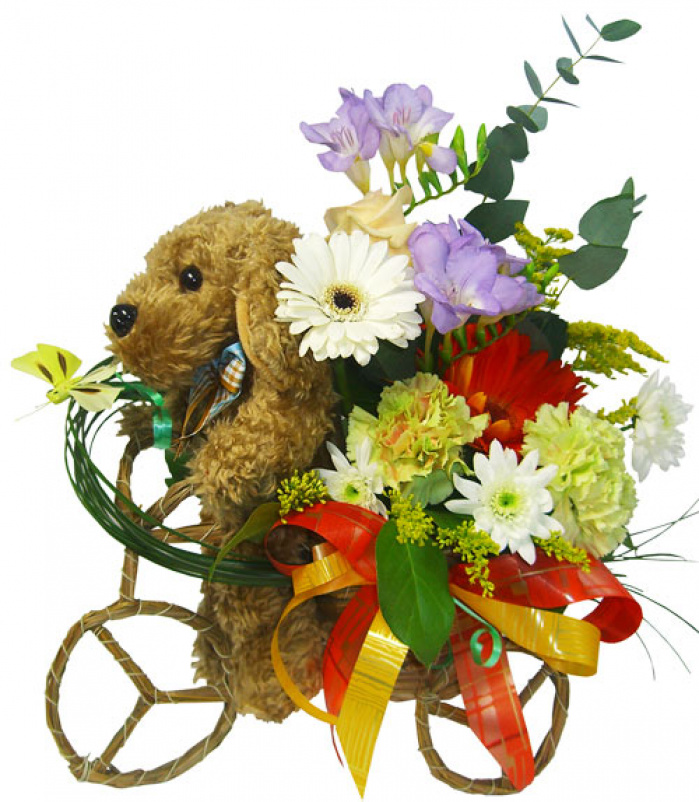 Bicicleta cu flori de frezii, garoafe, gerbera cadou