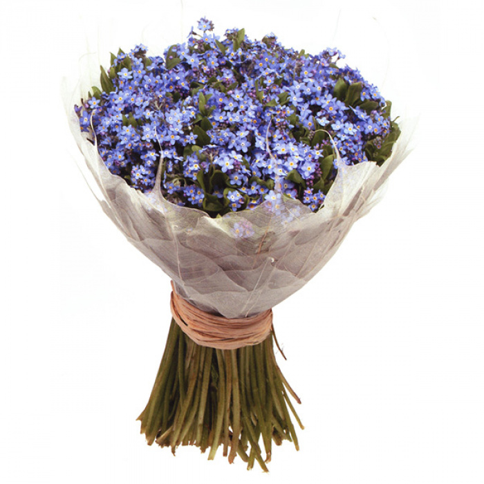 Buchet flori de camp albastre – imaginea 1