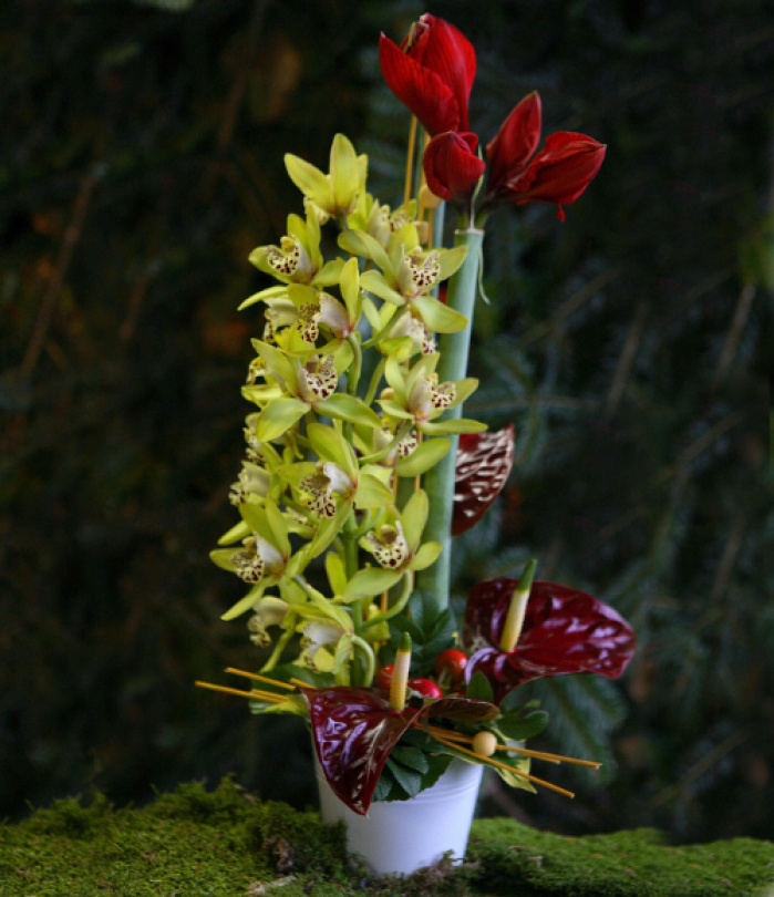 Aranjament anthurium, orhidee, amarylis – imaginea 1