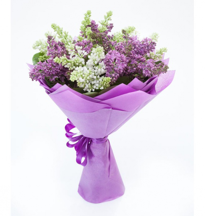 Liliac alb si mov