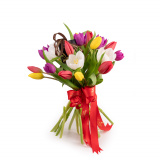 Lalele multicolore minunate – Standard