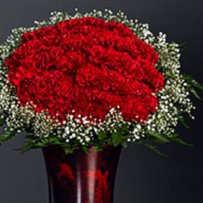 Buchet garoafe rosii si gypsophila – imaginea 1
