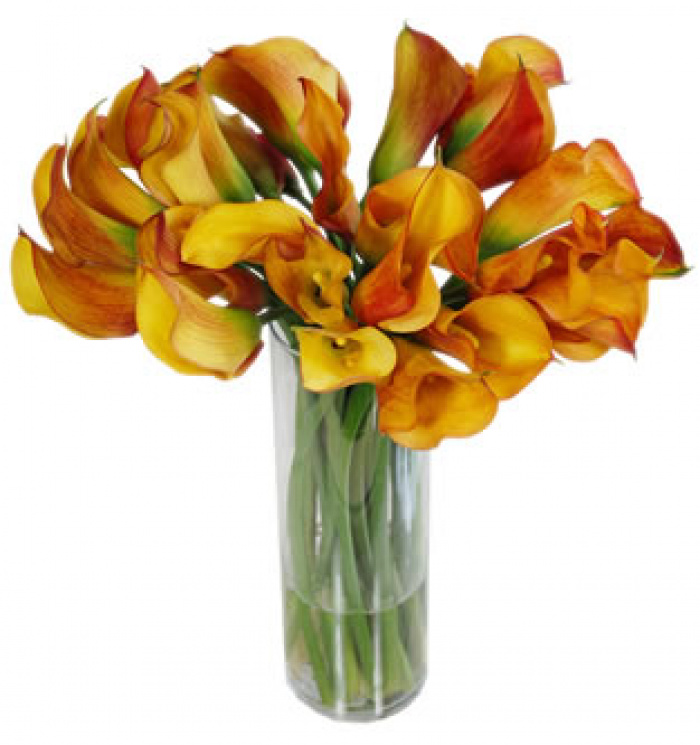 Buchet de 17 cale portocalii – imaginea 1