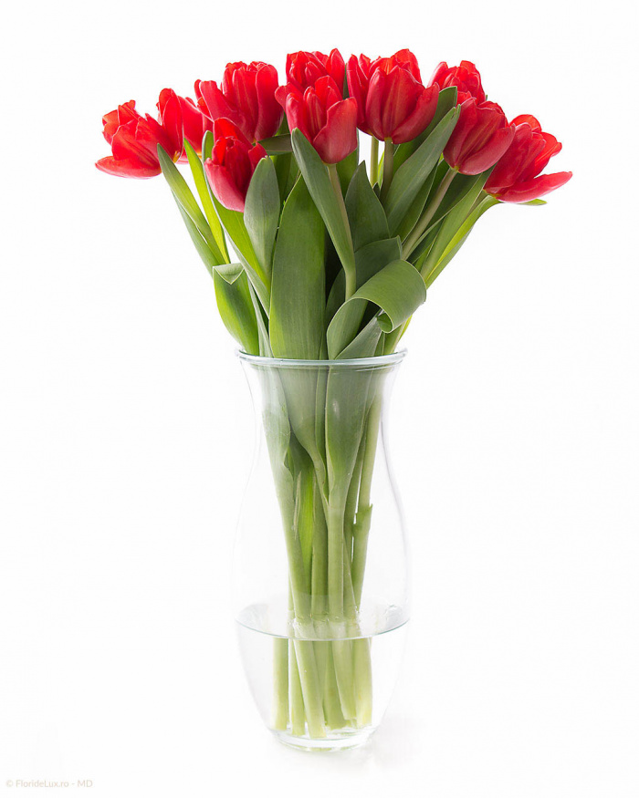 Buchet de 11 lalele rosii