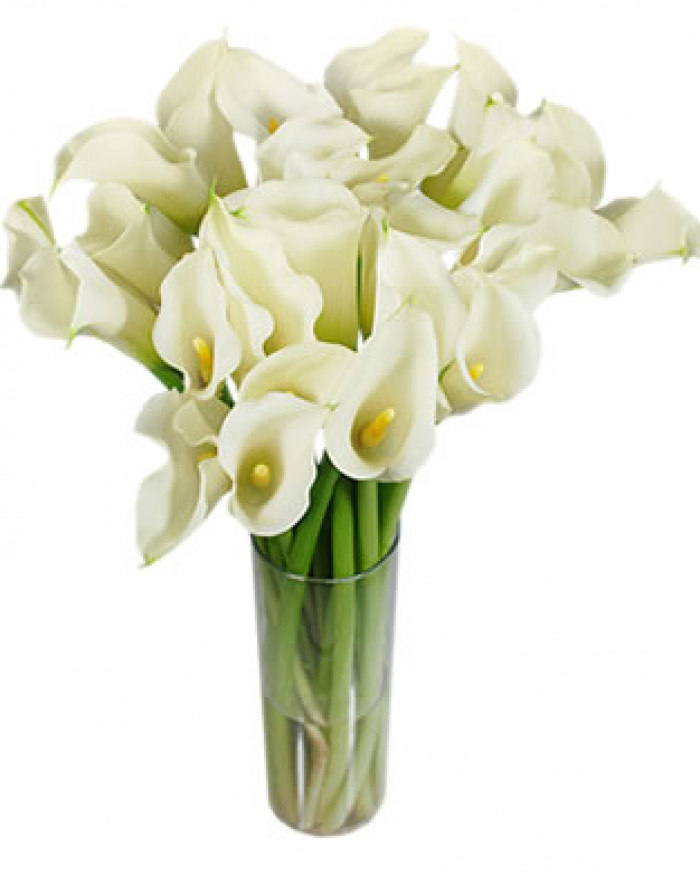 Buchet de 35 cale albe