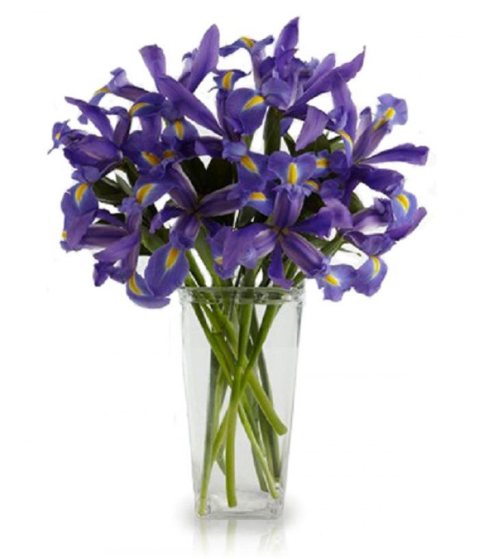 Buchet de 25 irisi mov – imaginea 1