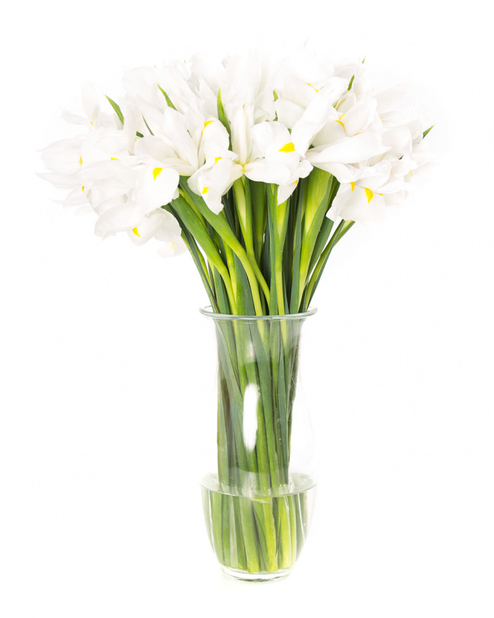 Buchet 45 irisi albi – imaginea 1