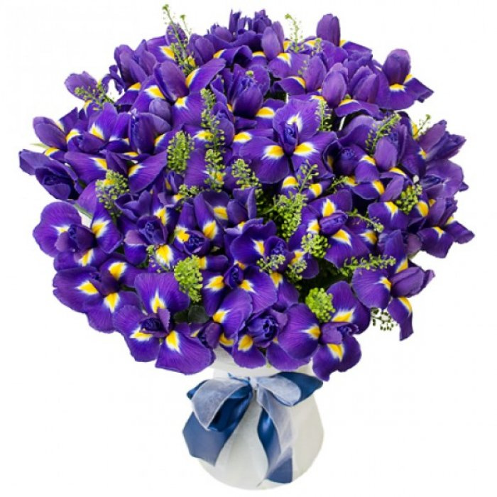 Buchet de 55 irisi mov – imaginea 1