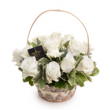 Cos trandafiri albi eleganti – Floridelux