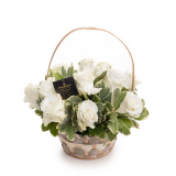 Cos trandafiri albi eleganti – Standard