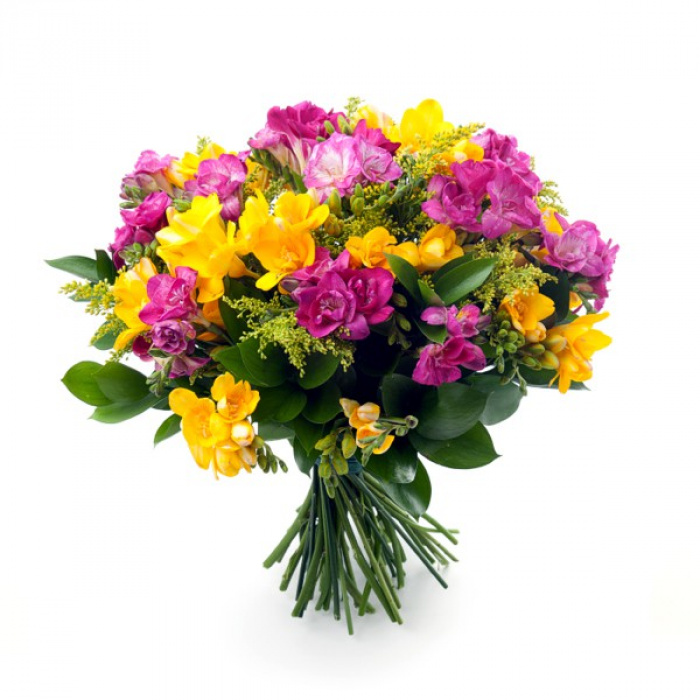 Buchet de 11 frezii galbene si 16 frezii roz – imaginea 1
