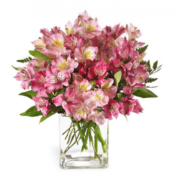 Buchet de 55 alstroemeria roz – imaginea 1