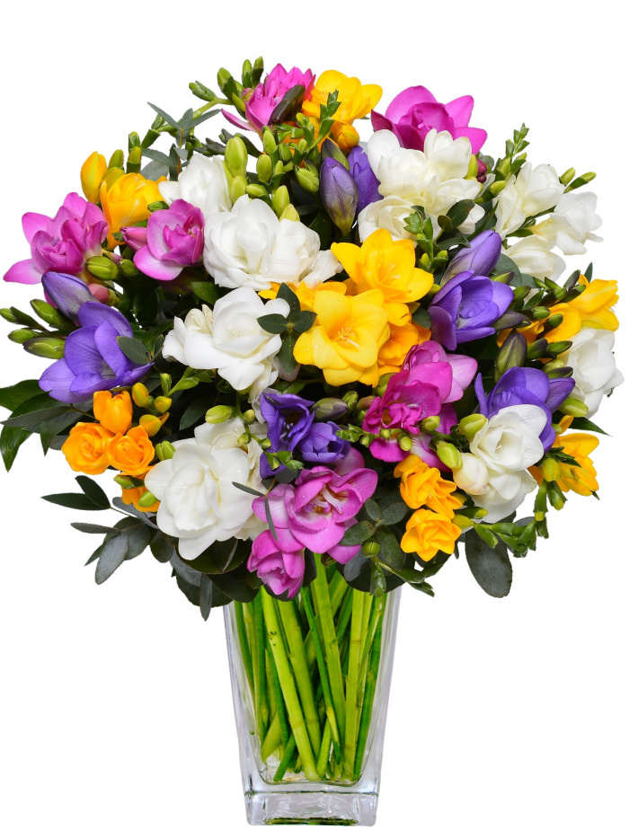 Buchet de 55 frezii multicolore – imaginea 1