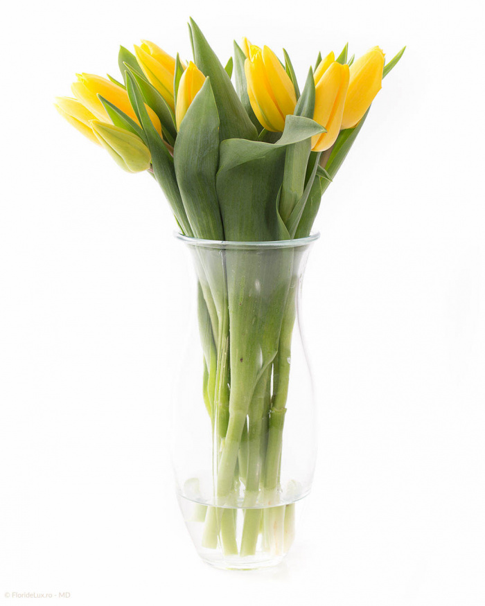 Buchet de 11 lalele galbene – imaginea 1