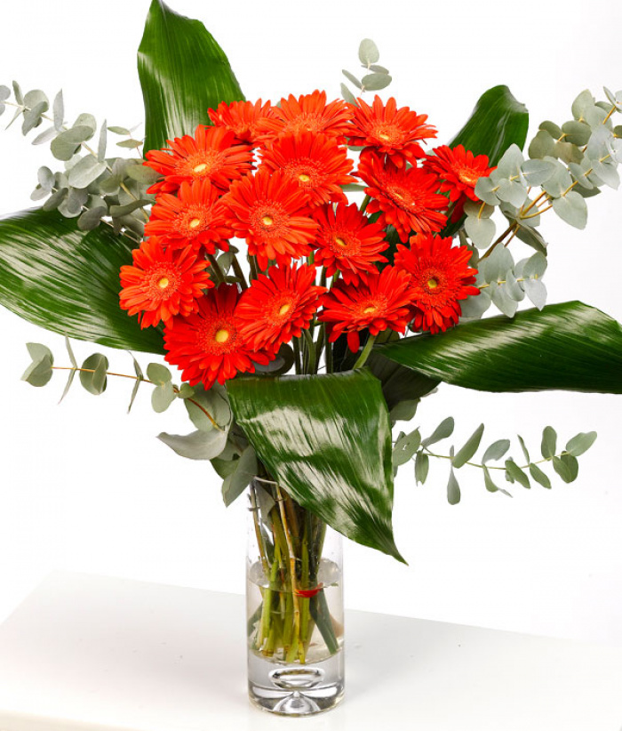Buchet de 55 gerbera portocalii