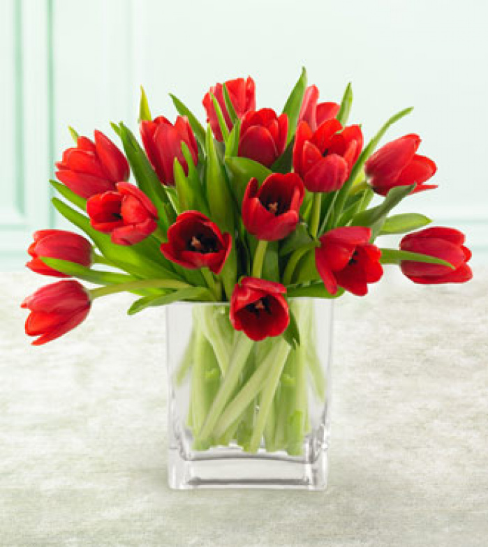 Buchet 15 lalele rosii – imaginea 1
