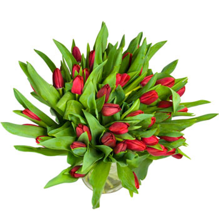 Buchet de 55 lalele rosii – imaginea 1
