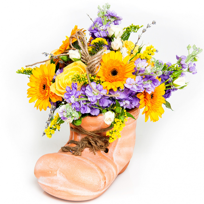 Boot-ina rustica – imaginea 1