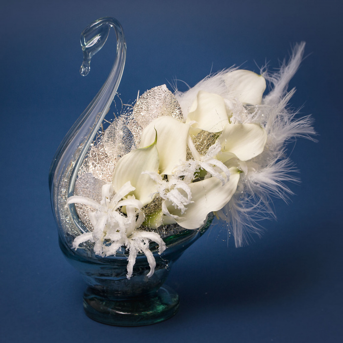 Lebada pretioasa argintata