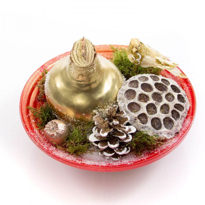 Bulb aurit de amaryllis – imaginea 1