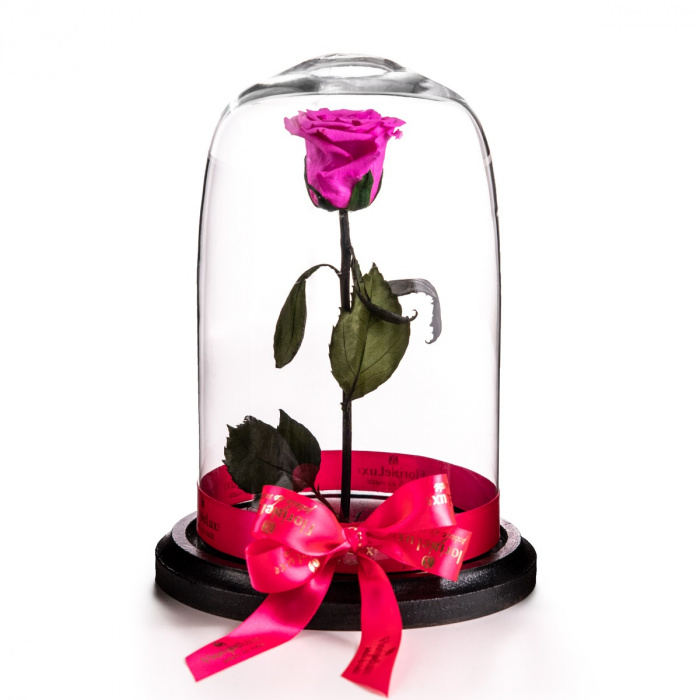 Trandafir criogenat Beauty and the Beast – imaginea 1