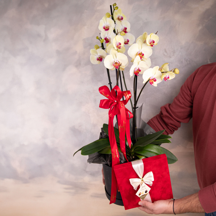 Cadou elegant, cu flori si ciocolata – imaginea 3
