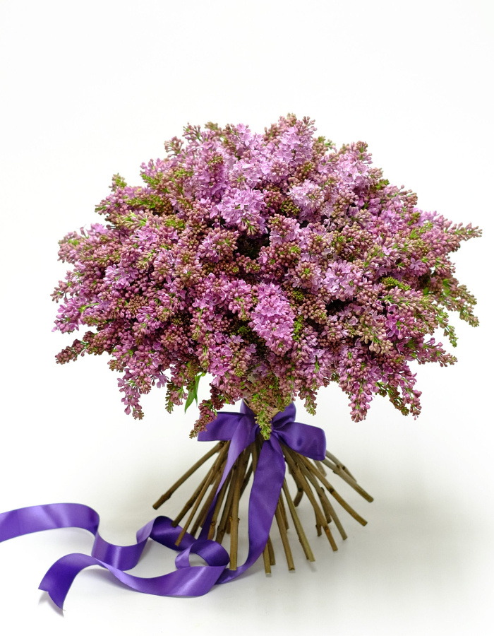 Buchet 49 flori de liliac – imaginea 1