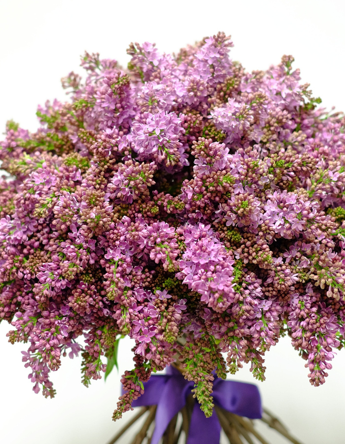 Buchet 49 flori de liliac – imaginea 2