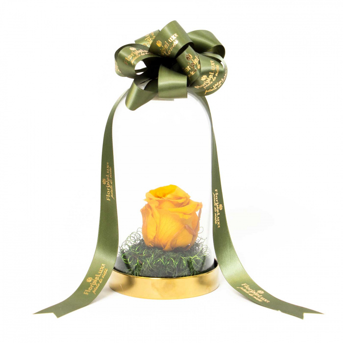 Trandafir criogenat Enchanted Rose – imaginea 1