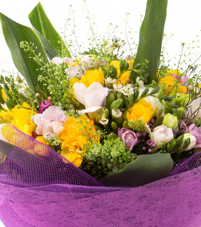 Frezii multicolore, un buchet impresionant – imaginea 2