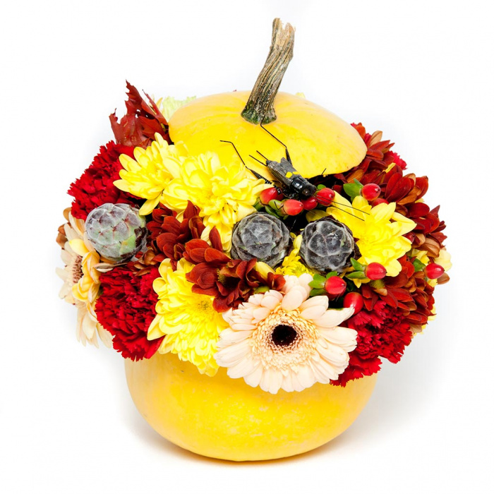 Flori de toamna boo-hoo-hoo – imaginea 1