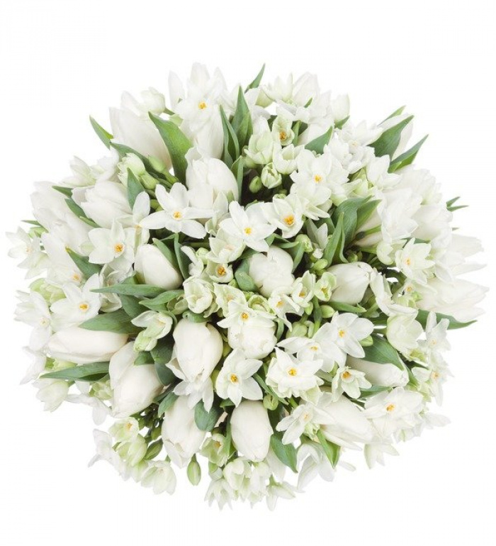 Cadou martisor - lalele si narcise – imaginea 2