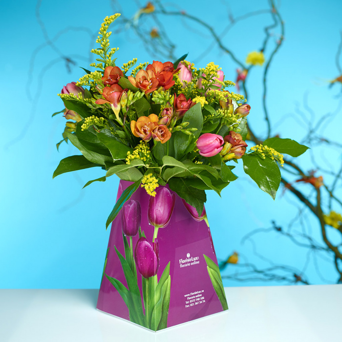Promo Flowers tulips and freesias