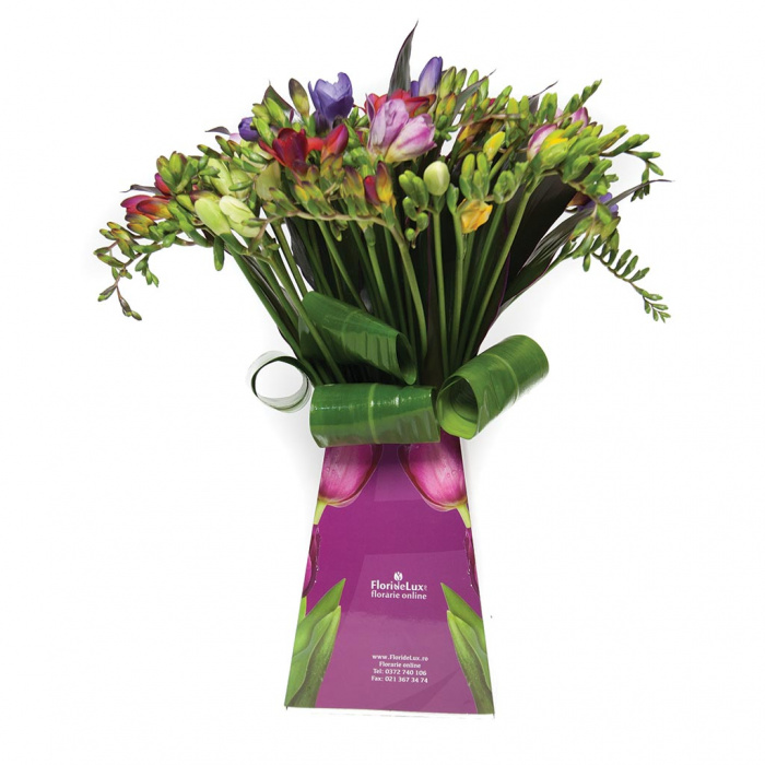 Promo Flowers frezii multicolore