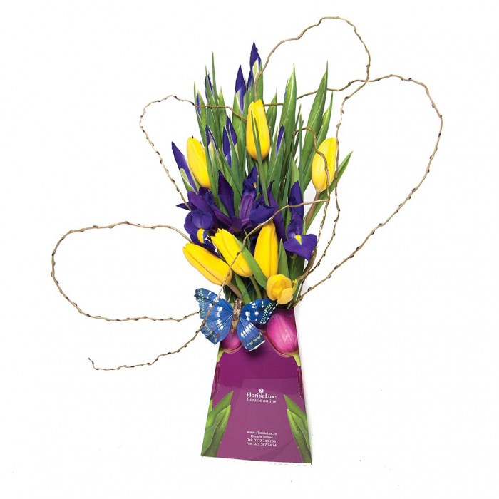 Promo Flowers lalele galbene si irisi – imaginea 1
