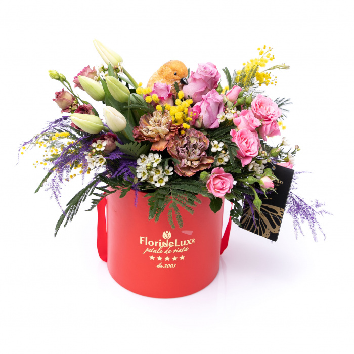 Cutie multicolora de primavara